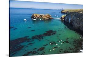 Kayaks and sailboats at Scorpion Cove, Santa Cruz Island, Channel Islands NP, California, USA.-Russ Bishop-Stretched Canvas