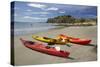 Kayaks, Doctors Point, Mapoutahi Pa, Maori Pa Site, South Island, New Zealand-David Wall-Stretched Canvas