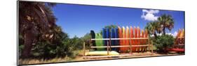 Kayaks, Gulf of Mexico, Florida, USA-null-Mounted Photographic Print