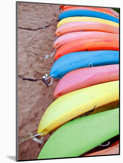 Kayaks I-Jairo Rodriguez-Mounted Art Print