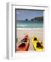 Kayaks on Beach, Hahei, Coromandel Peninsula, North Island, New Zealand-David Wall-Framed Photographic Print