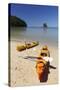 Kayaks on Beach, Torrent Bay, Abel Tasman National Park-Stuart Black-Stretched Canvas