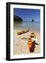 Kayaks on Beach, Torrent Bay, Abel Tasman National Park-Stuart Black-Framed Photographic Print