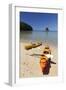 Kayaks on Beach, Torrent Bay, Abel Tasman National Park-Stuart Black-Framed Photographic Print