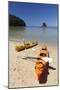 Kayaks on Beach, Torrent Bay, Abel Tasman National Park-Stuart Black-Mounted Photographic Print