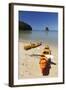 Kayaks on Beach, Torrent Bay, Abel Tasman National Park-Stuart Black-Framed Photographic Print