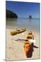 Kayaks on Beach, Torrent Bay, Abel Tasman National Park-Stuart Black-Mounted Photographic Print
