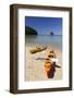 Kayaks on Beach, Torrent Bay, Abel Tasman National Park-Stuart Black-Framed Photographic Print