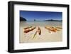 Kayaks on Beach, Torrent Bay, Abel Tasman National Park-Stuart Black-Framed Photographic Print