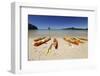 Kayaks on Beach, Torrent Bay, Abel Tasman National Park-Stuart Black-Framed Photographic Print