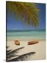 Kayaks on the Beach, Plantation Island Resort, Malolo Lailai Island, Mamanuca Islands, Fiji-David Wall-Stretched Canvas