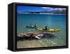 Kayaks, Otekiho Beach, Otago Harbor, New Zealand-David Wall-Framed Stretched Canvas