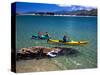 Kayaks, Otekiho Beach, Otago Harbor, New Zealand-David Wall-Stretched Canvas