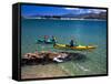 Kayaks, Otekiho Beach, Otago Harbor, New Zealand-David Wall-Framed Stretched Canvas