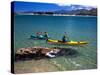 Kayaks, Otekiho Beach, Otago Harbor, New Zealand-David Wall-Stretched Canvas