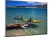 Kayaks, Otekiho Beach, Otago Harbor, New Zealand-David Wall-Mounted Photographic Print