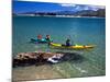 Kayaks, Otekiho Beach, Otago Harbor, New Zealand-David Wall-Mounted Photographic Print