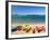 Kayaks, Paihia, Northland, New Zealand-David Wall-Framed Photographic Print