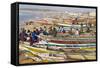 Kayar Fishing Harbour, the Biggest Fishing Harbour in Senegal, Senegal, West Africa, Africa-Bruno Morandi-Framed Stretched Canvas