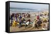 Kayar Fishing Harbour, the Biggest Fishing Harbour in Senegal, Senegal, West Africa, Africa-Bruno Morandi-Framed Stretched Canvas