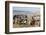 Kayar Fishing Harbour, the Biggest Fishing Harbour in Senegal, Senegal, West Africa, Africa-Bruno Morandi-Framed Photographic Print