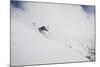 Kaylin Richardson Skiing Powder At Alta Ski Area-Louis Arevalo-Mounted Photographic Print