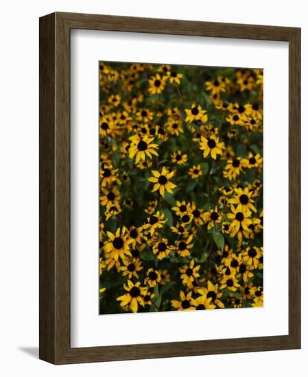 Kayndu-Jim Crotty-Framed Photographic Print