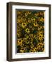 Kayndu-Jim Crotty-Framed Photographic Print