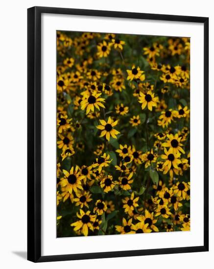 Kayndu-Jim Crotty-Framed Photographic Print