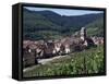 Kayserberg, Alsace, France-Guy Thouvenin-Framed Stretched Canvas