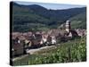 Kayserberg, Alsace, France-Guy Thouvenin-Stretched Canvas