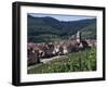 Kayserberg, Alsace, France-Guy Thouvenin-Framed Photographic Print