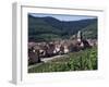 Kayserberg, Alsace, France-Guy Thouvenin-Framed Photographic Print