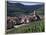 Kayserberg, Alsace, France-Guy Thouvenin-Framed Photographic Print