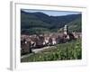 Kayserberg, Alsace, France-Guy Thouvenin-Framed Photographic Print