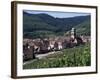 Kayserberg, Alsace, France-Guy Thouvenin-Framed Photographic Print