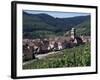 Kayserberg, Alsace, France-Guy Thouvenin-Framed Photographic Print