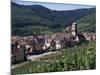 Kayserberg, Alsace, France-Guy Thouvenin-Mounted Photographic Print