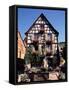 Kaysersberg-Charles Bowman-Framed Stretched Canvas