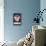 Kazimi Dental Products: Toothpaste, Powder, and Mouthwash-null-Stretched Canvas displayed on a wall