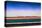 Stretched Canvas