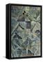 Canvas Black