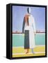 Framed Canvas