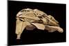 Kazon Fighter Model, Used in the First Season of 'Star Trek: Voyager', C.1995-null-Mounted Premium Giclee Print