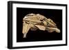 Kazon Fighter Model, Used in the First Season of 'Star Trek: Voyager', C.1995-null-Framed Giclee Print