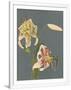 Gramercy White