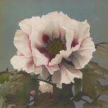 Lotus, 1896-Kazumasa Ogawa-Giclee Print