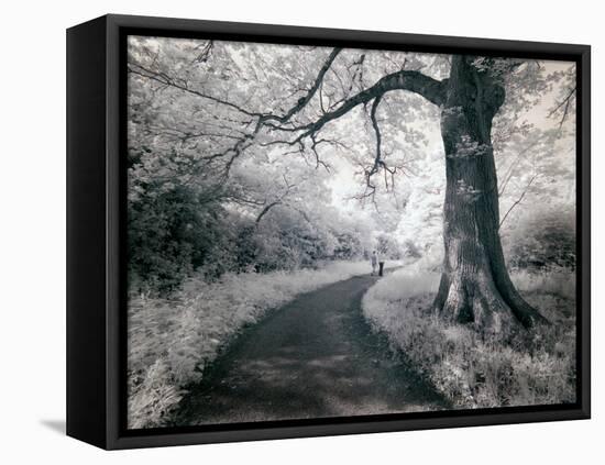 Kazz-Craig Satterlee-Framed Stretched Canvas