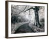 Kazz-Craig Satterlee-Framed Photographic Print