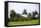 Framed Canvas